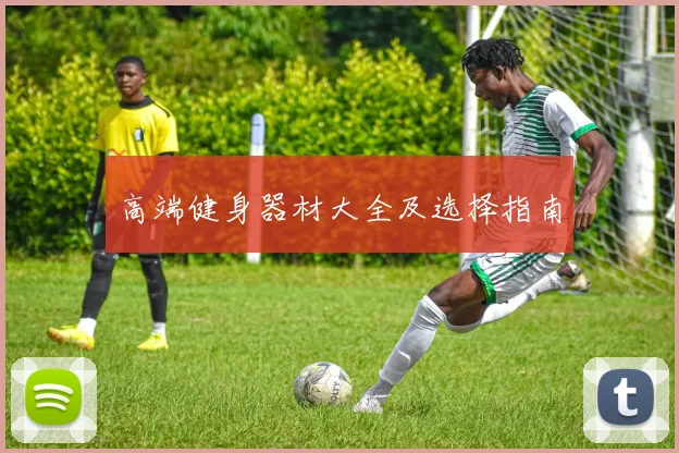 高端健身器材大全及选择指南