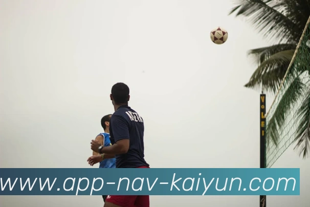 开云APP服务体系